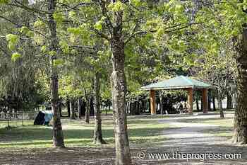 Island 22 Regional Park reopening in Chilliwack as water recedes – Chilliwack Progress - Chilliwack Progress