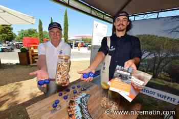 Trois initiatives pour sensibiliser les fumeurs à la dangerosité des mégots de cigarette