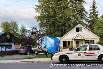UPDATE: One arrested as Armed Mounties surround Maple Ridge home – Maple Ridge News - Maple Ridge News