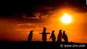 Must-see places in Patagonia