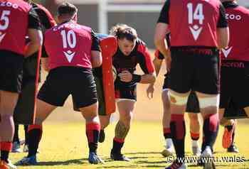 A stronghold in the North - Wainwright the latest of a long line - Welsh Rugby Union