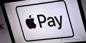 Fintechs haben Banken nicht ersetzt - jetzt versuchen es die Big-Techs - FOCUS Online