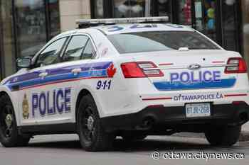 Ottawa Police investigating Highway 174 collision that left one person dead - Ottawa.CityNews.ca