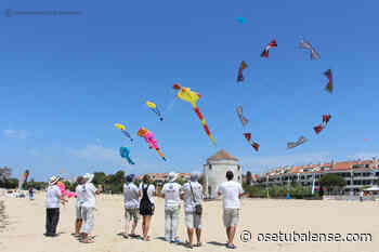 Festival de papagaios está de regresso ao céu da Praia dos Moinhos de Alcochete - O Setubalense