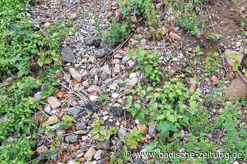 Die Debatte um die Altlasten in Lahr wird nachwirken - Kommentare - Badische Zeitung