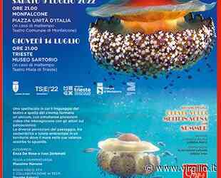 A Monfalcone Riflessi d'acqua - specie protetta - Virgilio