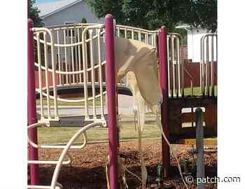 Arson Causes Temporary Closure Of Cumberland Park Playground Structure - Patch