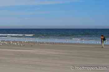 History, ruins, and beaches: Spending a day on Georgia's Cumberland Island - Roadtrippers Magazine