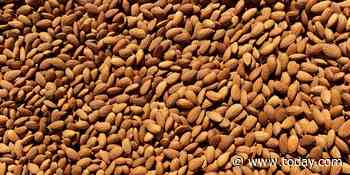 California is stuck with a billion pounds of almonds (yes, that’s ‘billion’ with a ‘b’)