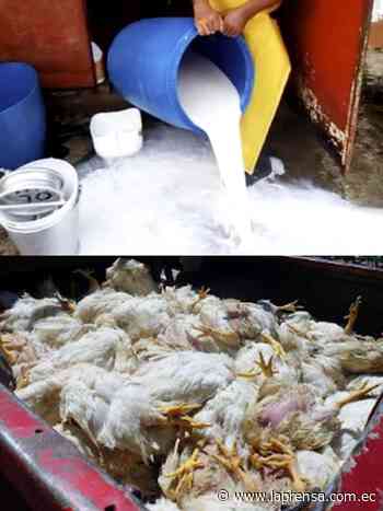 $500 millones en pérdidas por el paro - Diario La Prensa Riobamba