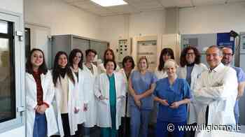 Il robot dei farmaci di Vimercate sale in cattedra in Lombardia - IL GIORNO