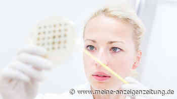 Gebärmutterhalskrebs: Neuer Test soll bei Früherkennung von HPV-Infektion helfen