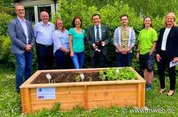 Tauberbischofsheim: Selbstversorgerkitas erfolgreich am Start - Fränkische Nachrichten