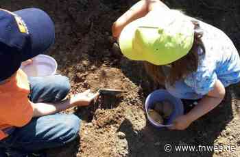 Für die Kinder in Tauberbischofsheim hieß es „Ab ins Beet” - Fränkische Nachrichten