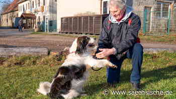 Riesa: Corona, Katzenschwemme, Quarantäne-Umbau | Sächsische.de - Sächsische.de
