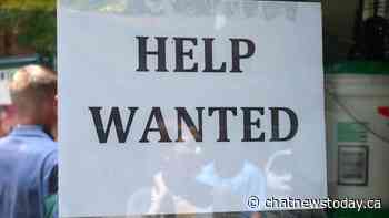 Lethbridge-Medicine Hat's unemployment rate remains unchanged at 5 per cent in June - CHAT News Today