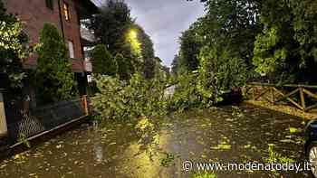 Ancora grandine sulla pianura modenese, danni in diverse zone - ModenaToday