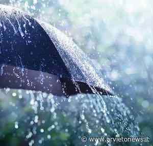 Non sul pineto - OrvietoNews.it