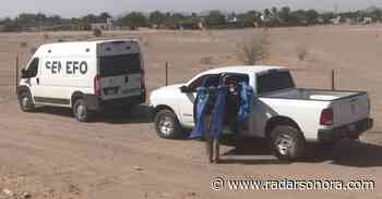 Suman 9 los cuerpos hallados cerca de la carretera Caborca-Sonoyta - Radar Sonora