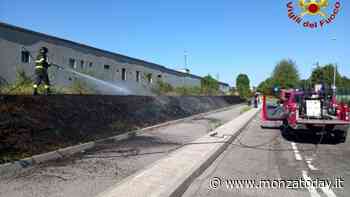 Fiamme a Monza, bruciano sterpaglie - MonzaToday