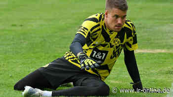 Fußball Testspiel: Beifall für Dynamo Dresden – aber Hummels und Borussia Dortmund siegen - Lausitzer Rundschau