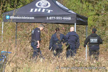 Murder investigators headed to Langley neighbourhood – Aldergrove Star - Aldergrove Star