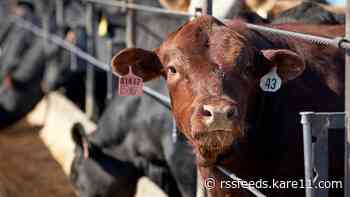 Sysco accuses 4 largest beef processors of price fixing