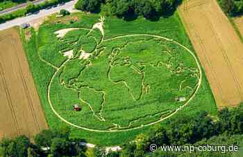Landsberg am Lech - Friedenstaube und Weltkarte aus 350.000 Pflanzen angelegt - Neue Presse Coburg
