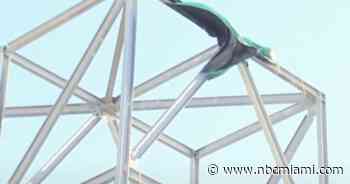 ‘S.O.S. Biden They Won't Stop at Roe:' Man Climbs Metal Structure to Send Abortion Rights Message