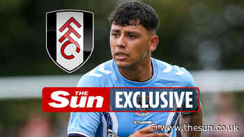 Fulham boss Marco Silva keen on £10million-rated Coventry City midfielder Gustavo Hamer... - The Sun