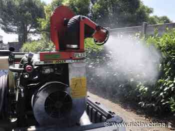 Rieti e Frazioni, il 14 luglio dalle ore 23 disinfestazione da insetti nocivi alati - Rietinvetrina