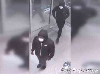 Two suspects robbed business in Carleton Place: OPP - Ottawa.CityNews.ca