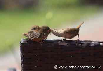 A photo a month by St Helens Star Camera Club members - May and June - St Helens Star