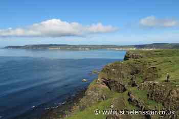 Bird flu detected on Rathlin Island - St Helens Star