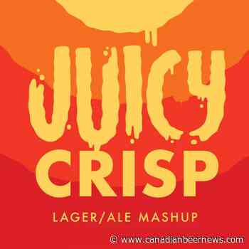 Elora Brewing Releases Juicy Crisp Lager/Ale Mashup - Canadian Beer News