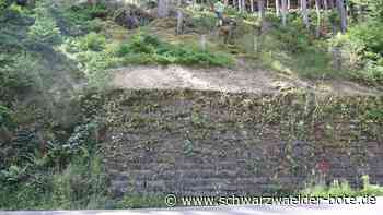 Felssturz auf der L108 - Straße zwischen Schramberg und Lauterbach ist wieder frei - Schwarzwälder Bote