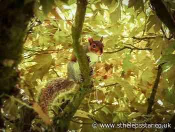 Ten of the best from St Helens Star Camera Club - St Helens Star