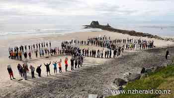 Save Our Sands: Hundreds gather to oppose sand mining at Pakiri - Northern Advocate