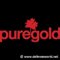 Pure Gold Mining (CVE:PGM) Shares Up 3.1% - Defense World