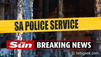 Almeno 14 morti in una sparatoria di massa al bar dopo che uomini armati hanno fatto irruzione e hanno iniziato a "sparare a caso" - Tebigeek