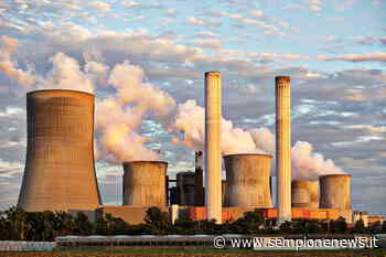 L'homo sapiens sta provocando la 6^ estinzione di massa? - Sempione News