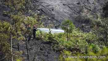 Incendie des Cévennes: nuit calme sur le site maintenu sous surveillance