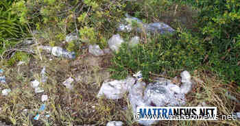 Rifiuti a Matera: "provvedimenti, anche sanzionatori, che evitino il ripetersi di tali atti incivili". Le foto - Matera News