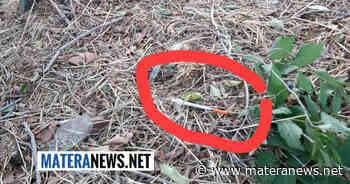 Matera: siringhe abbandonate in questa zona! Le avete viste? - Matera News