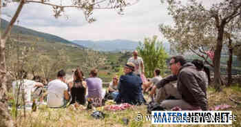 Matera: anche le associazioni cittadine gestiranno le aree verdi. Ecco i dettagli - Matera News