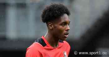 Transfermarkt: FC Bayern München an Mathys Tel von Stade Rennes interessiert - SPORT1