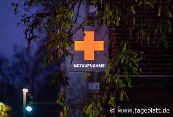 Von Klapperschlange gebissen: 35-Jährige außer Lebensgefahr - TAGEBLATT: Nachrichten aus Stade, Buxtehude und der Region - Tageblatt-online