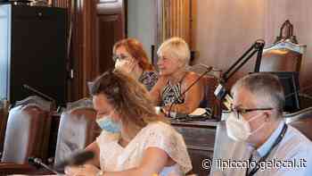 I ritardi del tram di Trieste: il responsabile unico del progetto spiega perché la storica trenovia è ferma dal 2016 - Il Piccolo