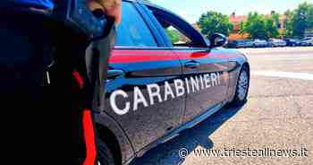 Trieste, arrestato “topo d'appartamento”. Si fingeva giardiniere - Trieste News