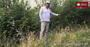 Martin Jung aus Trossingen legt naturnahen Garten an - Schwäbische